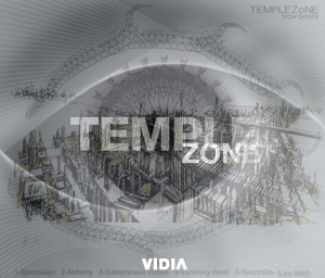 templezone-vidia-slow-beats