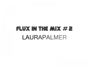 flux-in-the-mix-2-laurapalmer